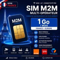 Carte SIM M2M France 1 Go multi-opérateur Orange SFR Bouygues pour GPS tracker et objets connectés