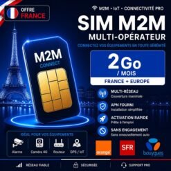 Carte SIM M2M France 2 Go multi-opérateur Orange SFR Bouygues pour IoT domotique et équipements connectés