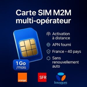 carte sim m2m 1Go