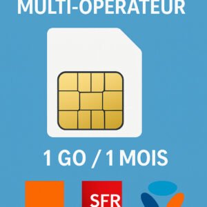 Carte Sim M2M Multi-Opérateur