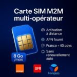 Carte SIM IoT/M2M Things Mobile – Couverture Mondiale 165 Pays, Multi-opérateurs 2G/3G/4G, 60€ Crédit Inclus, Sans Abonnement Fixe