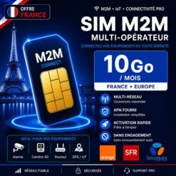 Carte SIM M2M France 10 Go multi-opérateur Orange SFR Bouygues pour routeur 4G 5G et IoT