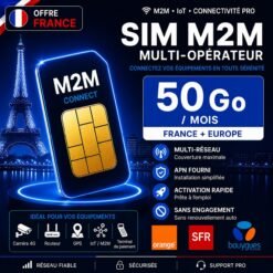 Carte SIM M2M France 50 Go multi-opérateur Orange SFR Bouygues pour routeur 5G haut débit et internet pro