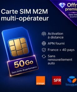 Sim m2M 50 Go