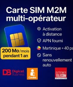 200nMo:Mois-1 an -Martinique