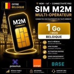 Carte SIM M2M Multi-opérateur 1 Go Belgique Proximus Orange Base pour GPS tracker géolocalisation