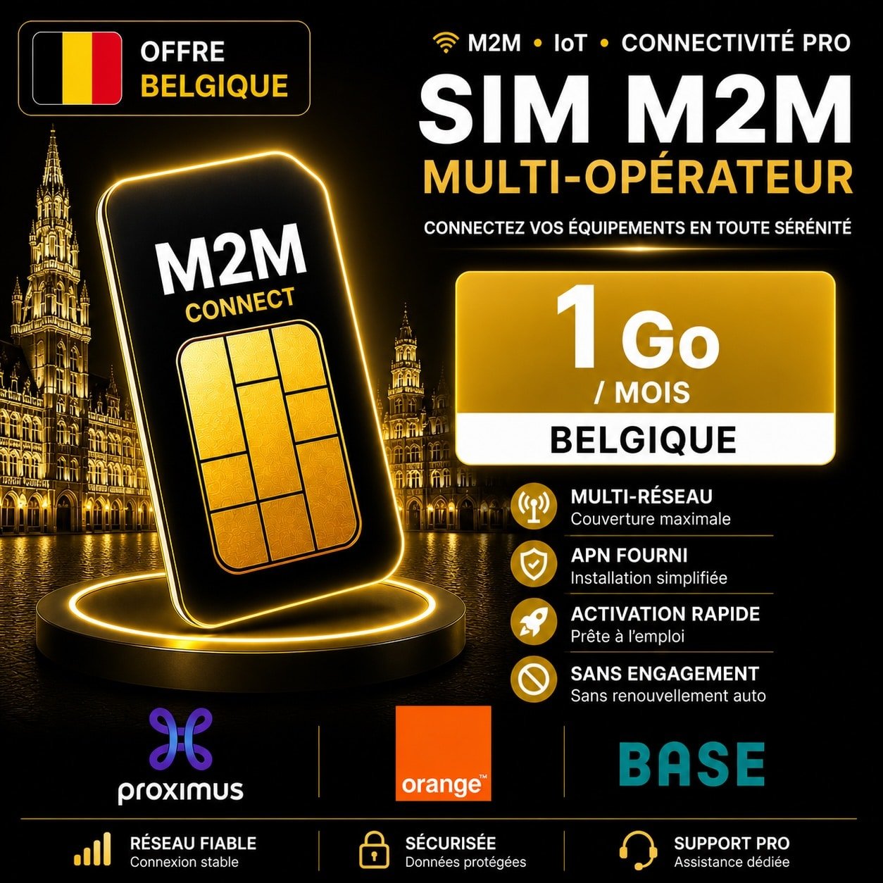 Carte SIM M2M Multi-opérateur 1 Go Belgique Proximus Orange Base pour GPS tracker géolocalisation